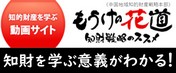 もうけの花道